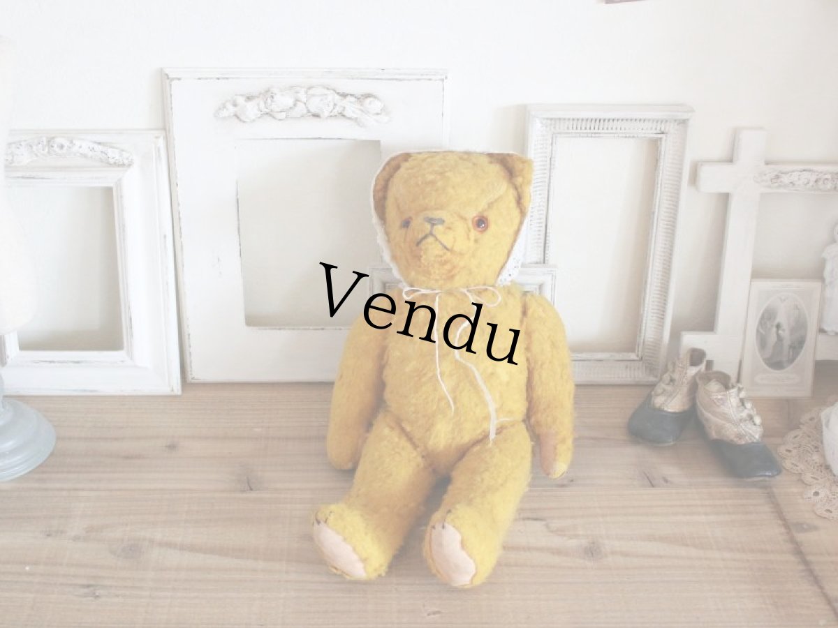 画像1: Antique French Bear/15in/France (1)