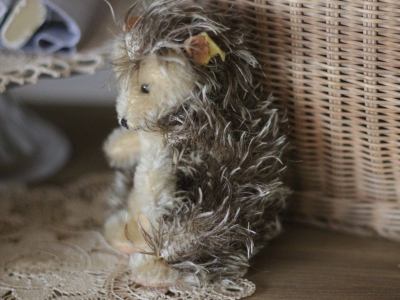 antique steiff hedgehog