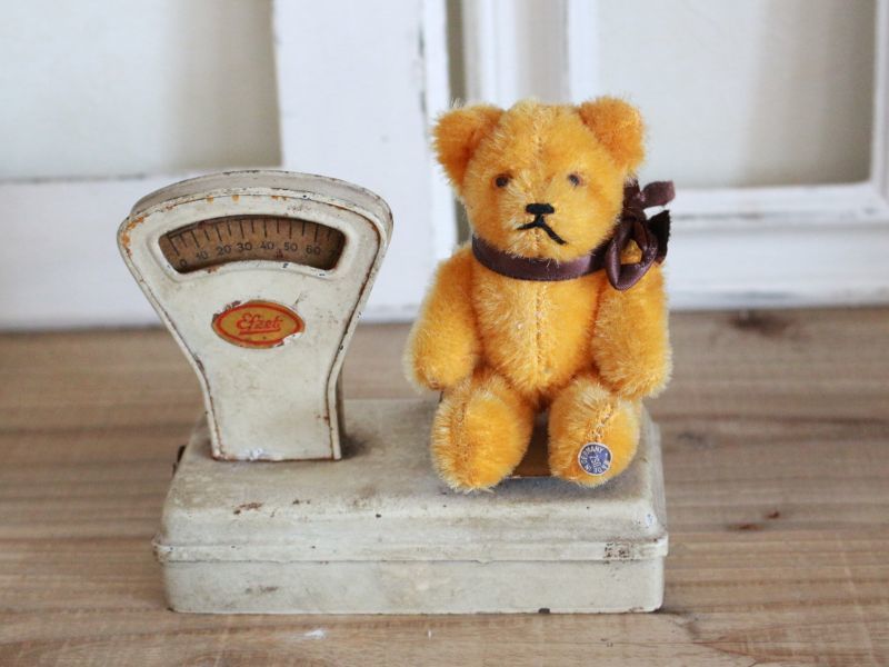 Antique toricoTte Antique Mini Berg Bear / 4 1/2in / Germany 